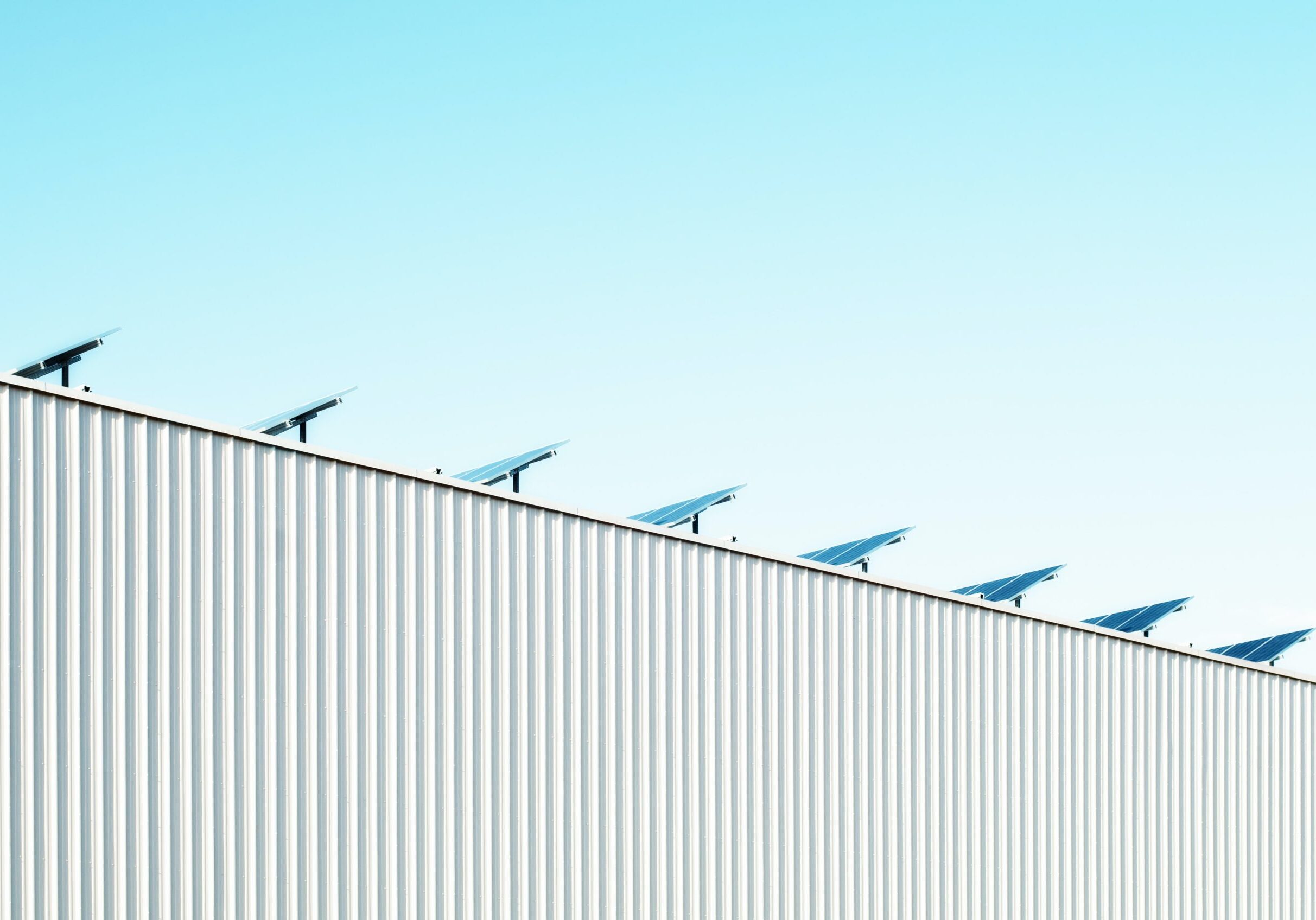 pexels-scott-webb-137602